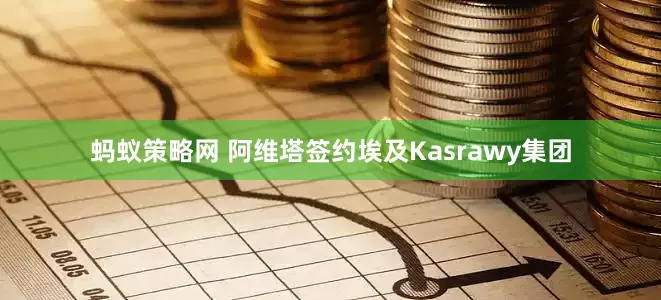 蚂蚁策略网 阿维塔签约埃及Kasrawy集团