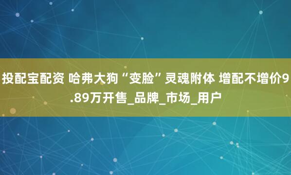 投配宝配资 哈弗大狗“变脸”灵魂附体 增配不增价9.89万开售_品牌_市场_用户