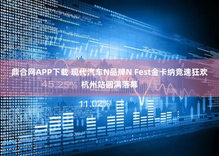 鼎合网APP下载 现代汽车N品牌N Fest金卡纳竞速狂欢杭州站圆满落幕